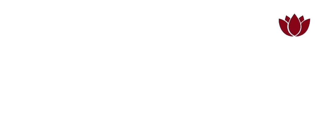 Video Background